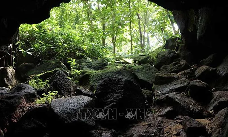 Khám phá “hang Dơi” một trong 5 hang dung nham dài nhất Đông Nam Á ở Đồng Nai
