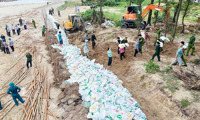Gia cô đê biển trước khi bão đến ở Hà Tĩnh