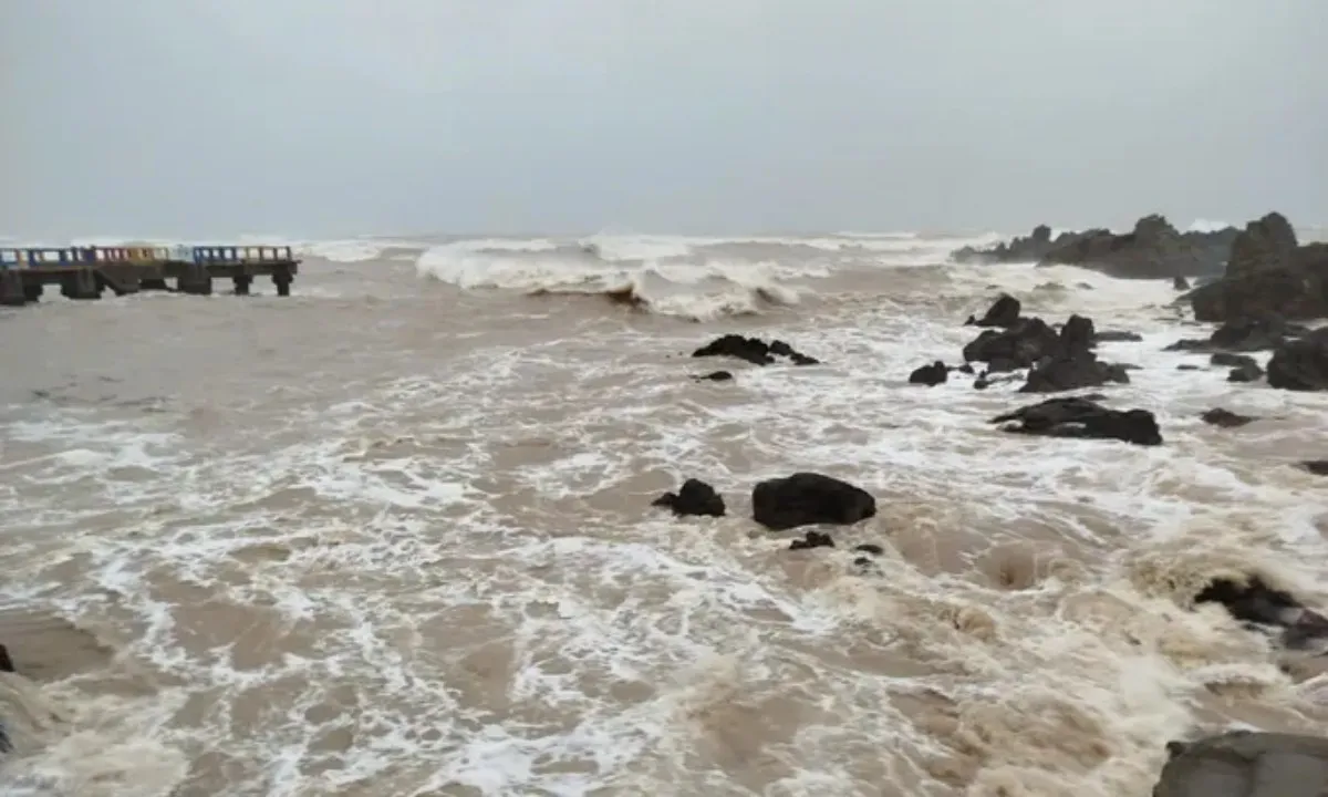 38d8666b6fc9e797bed8-4799-4126