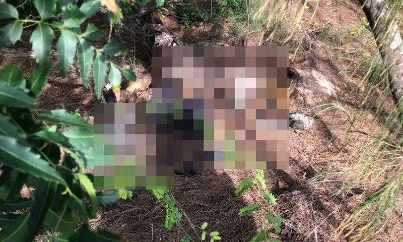 Phát hiện thi thể không nguyên vẹn tại bờ biển Lâm Đồng 