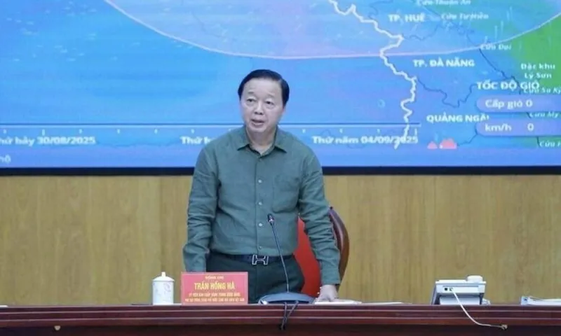 Tran Hong Ha