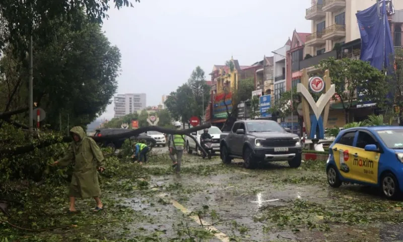 Bão số 5 gây thương vong và thiệt hại tại nhiều địa phương 