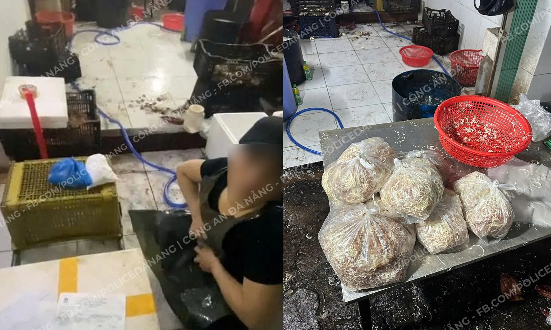 hoa-chat-tay-trang-260825