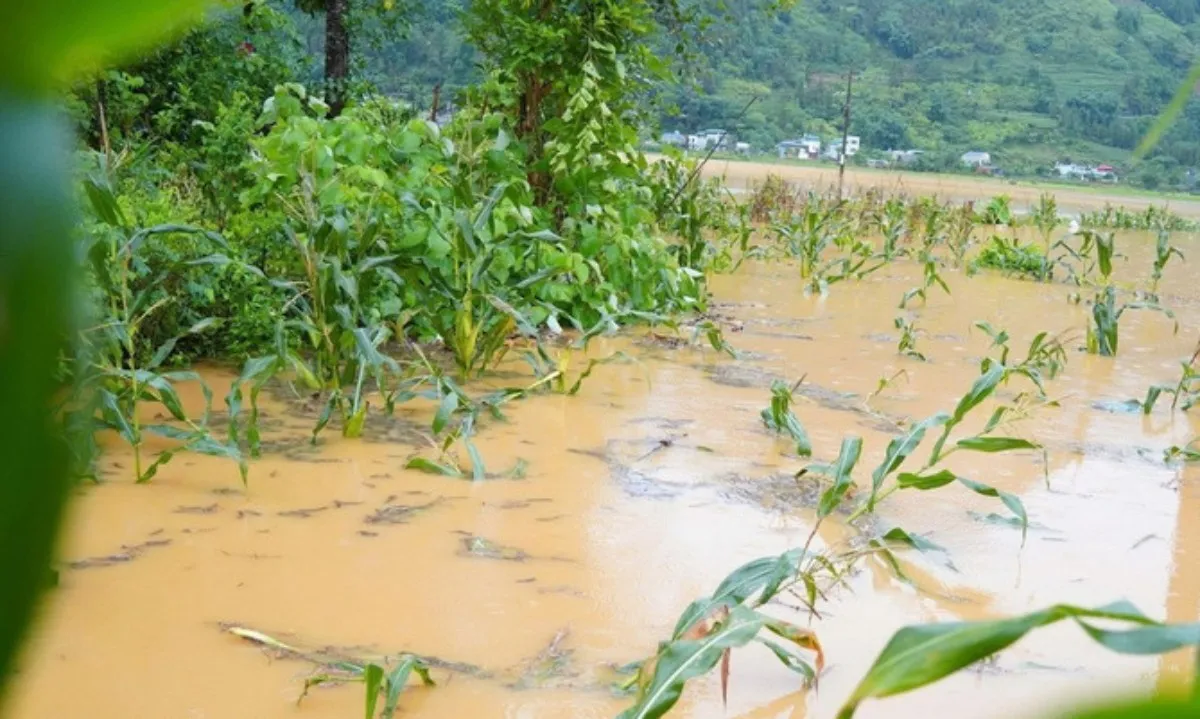 muong-khuong-8080441