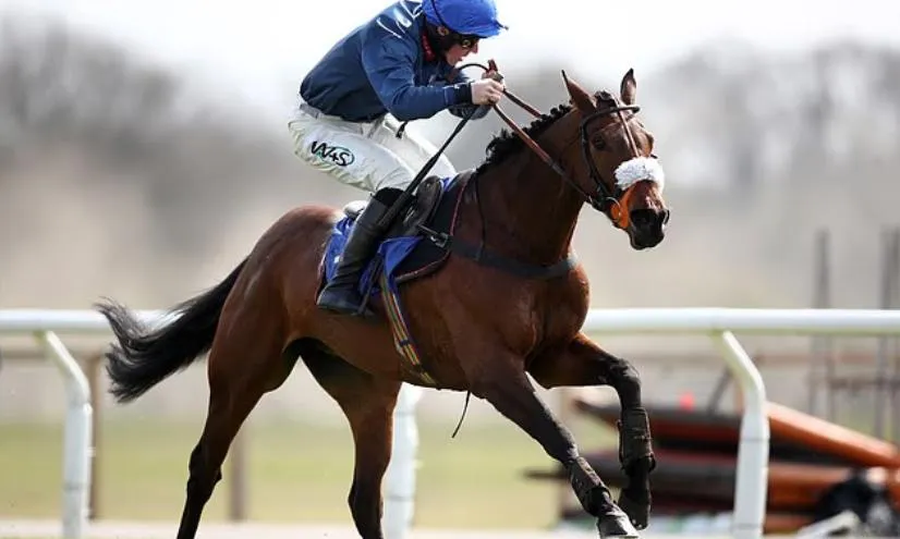 Hy hữu: Ngựa đua gục ngã vì đột quỵ tim, hai khán giả bị thương