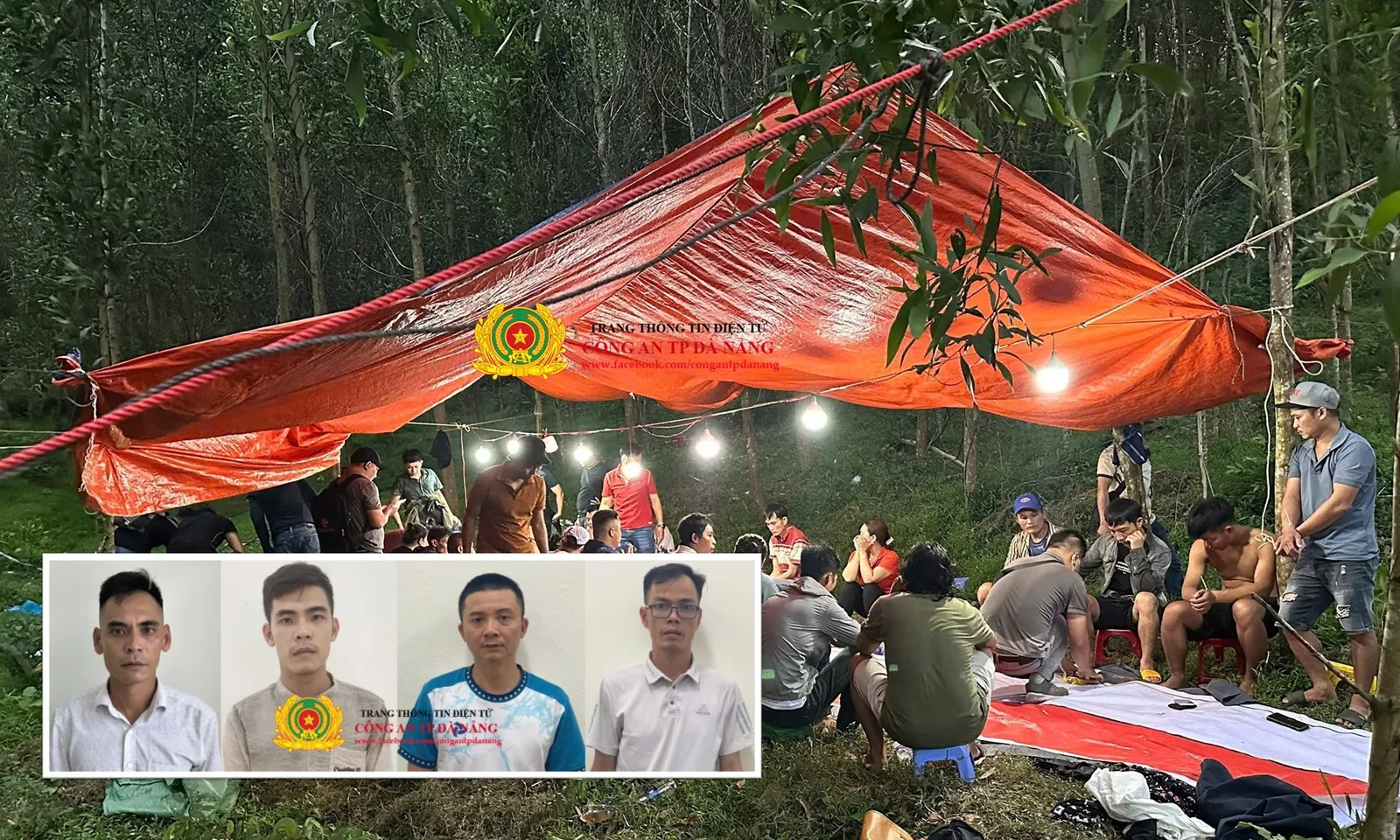 4 đối tượng cầm đầu sới bạc khủng trong rừng keo ra đầu thú