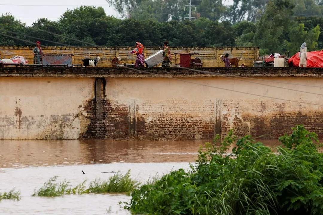 ELPNZJDQABKGRABH7HQBG26LOM