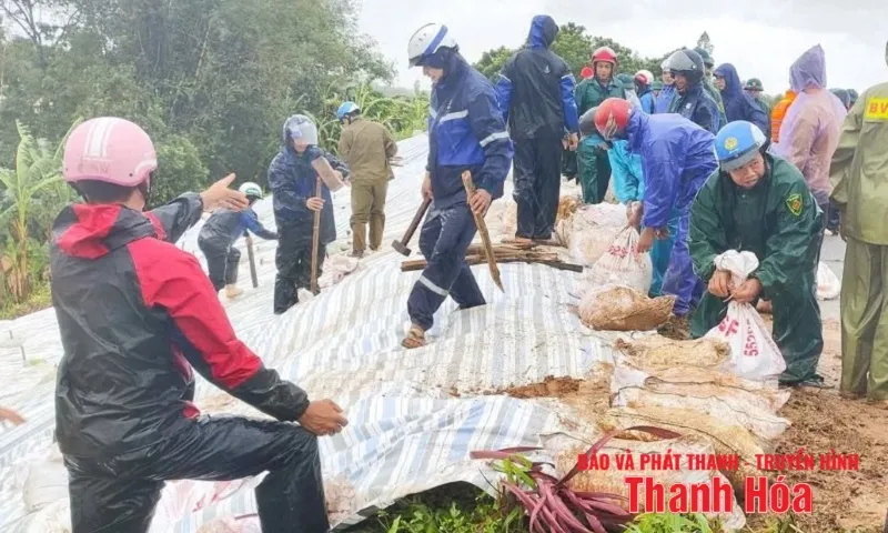 Thanh Hóa khắc phục sự cố đê điều sau bão số 5 