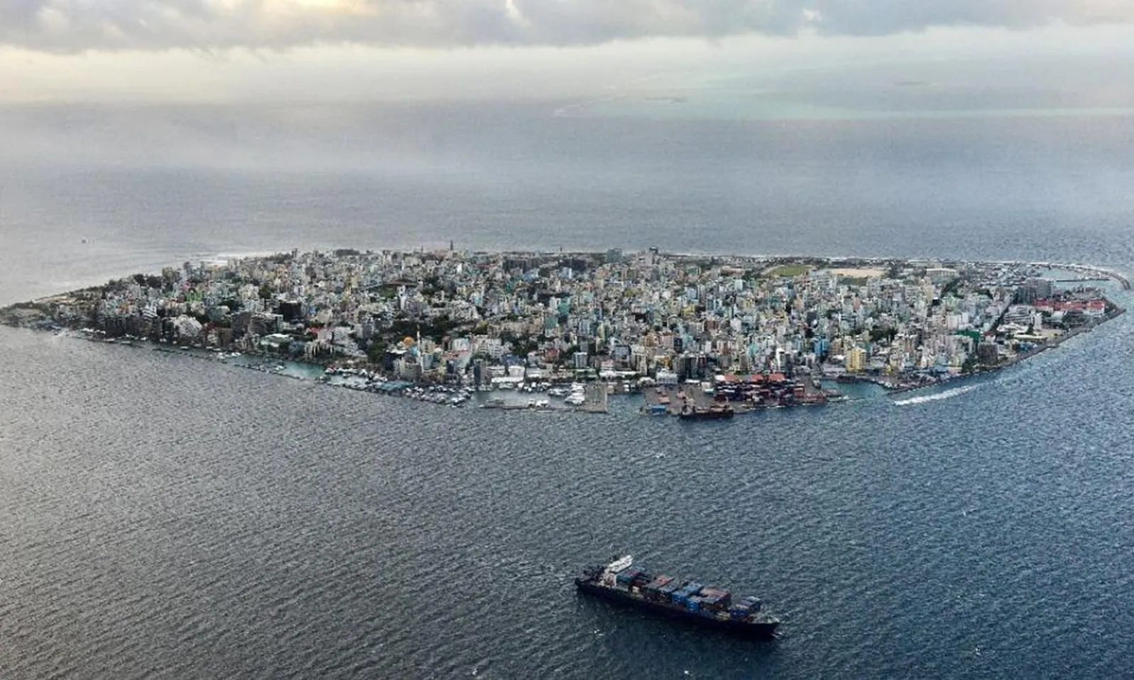 Maldives gỡ bỏ lệnh cấm đánh bắt cá mập sau nhiều thập kỷ