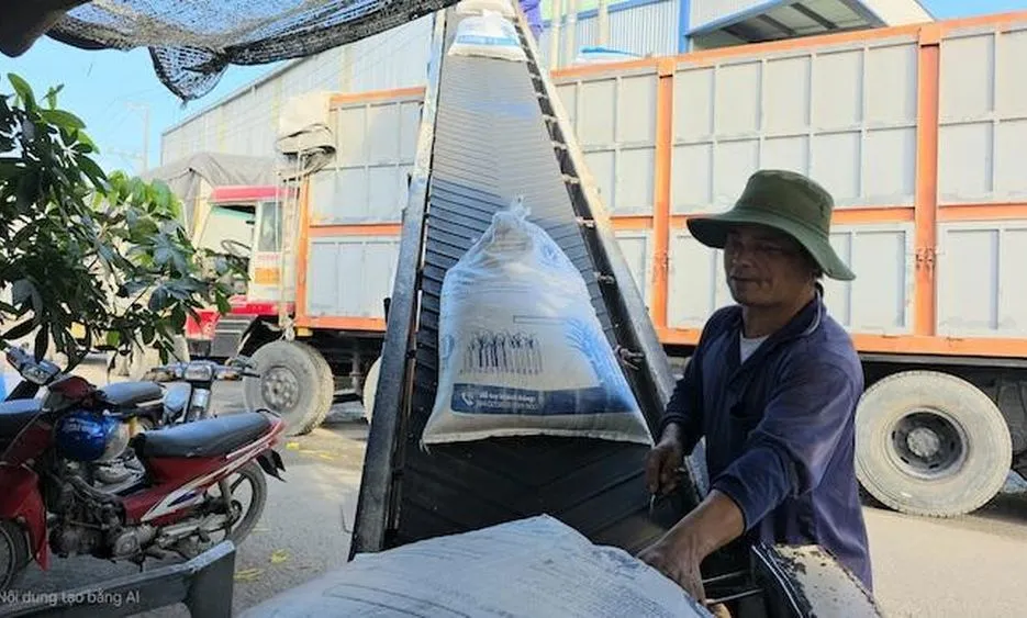 Bộ Công thương: Thúc đẩy FTA mới, mở rộng thị trường gạo