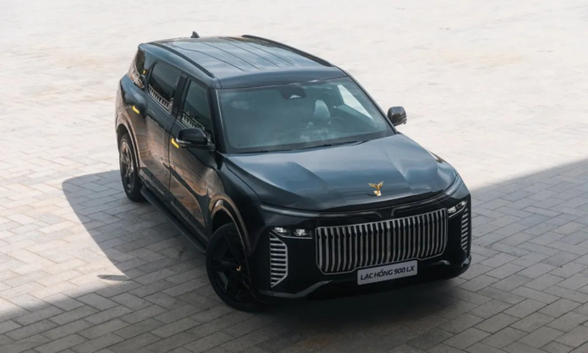 lac-hong-900-lx-2-1756341388285-17563413896561004673010-1756342616455-17563426165792031121052