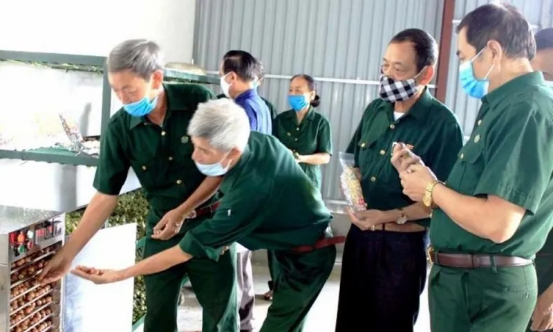 Đề xuất tăng gần gấp đôi trợ cấp cho thanh niên xung phong