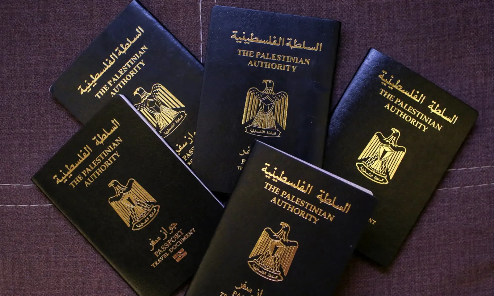 Mỹ ngưng cấp thị thực cho hầu hết những người có hộ chiếu Palestine