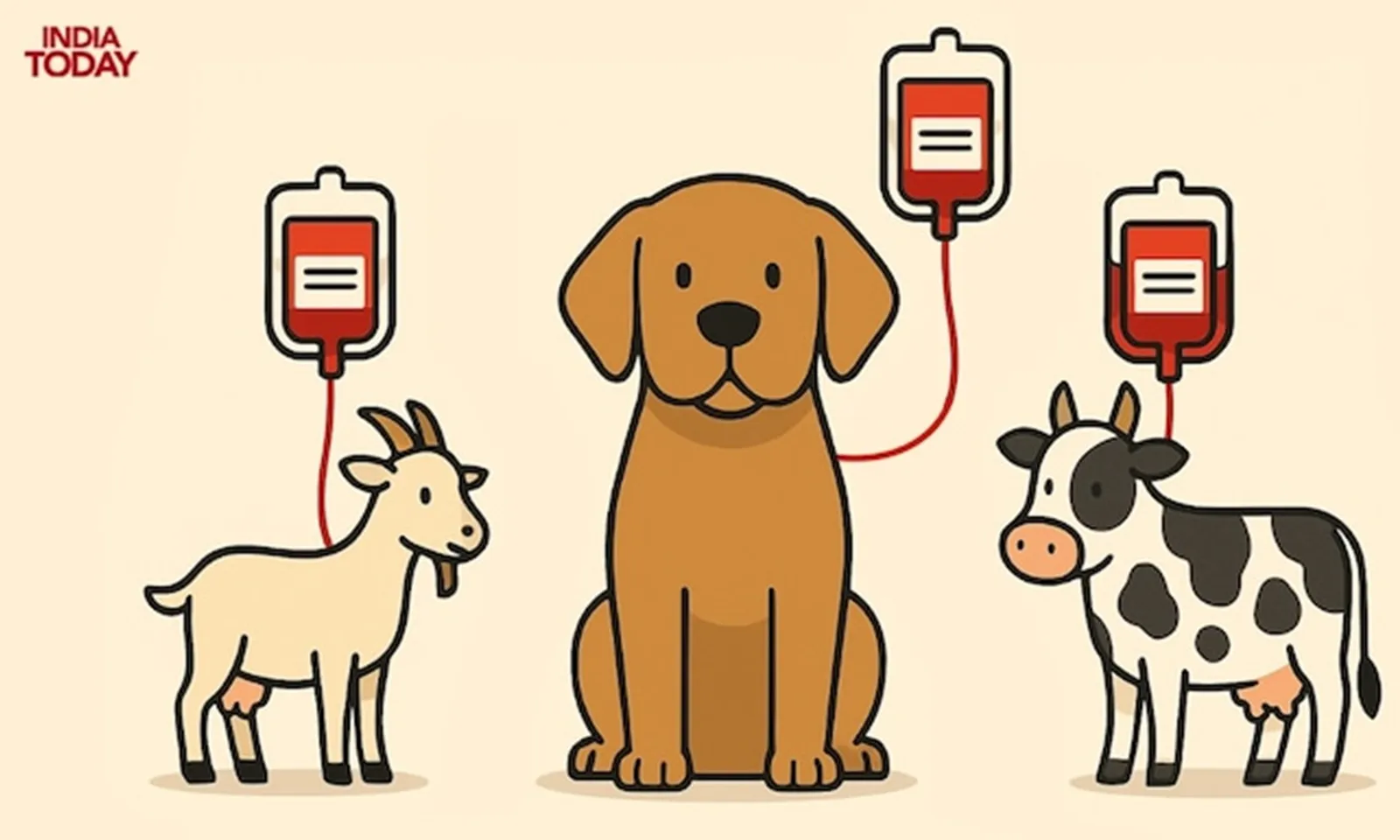 Ấn Độ vận hành ngân hàng máu cho động vật