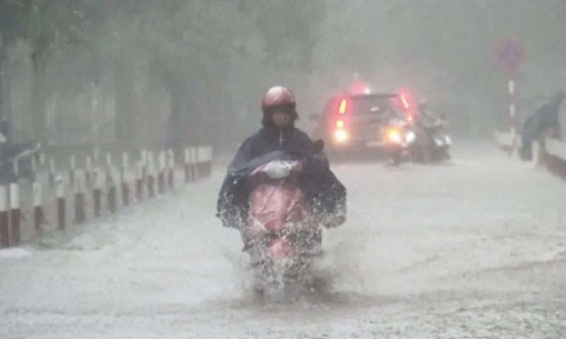 Trưa và chiều tối 2/9, TPHCM và Nam Bộ có mưa to