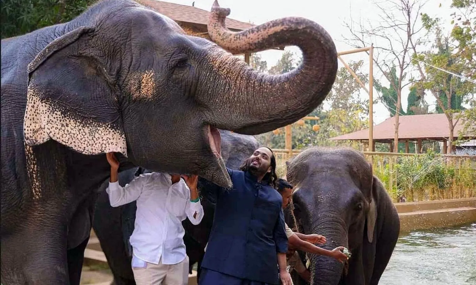 Con trai tỷ phú Mukesh Ambani bị điều tra vì “sở thú bí mật” hơn 150.000 cá thể quý hiếm