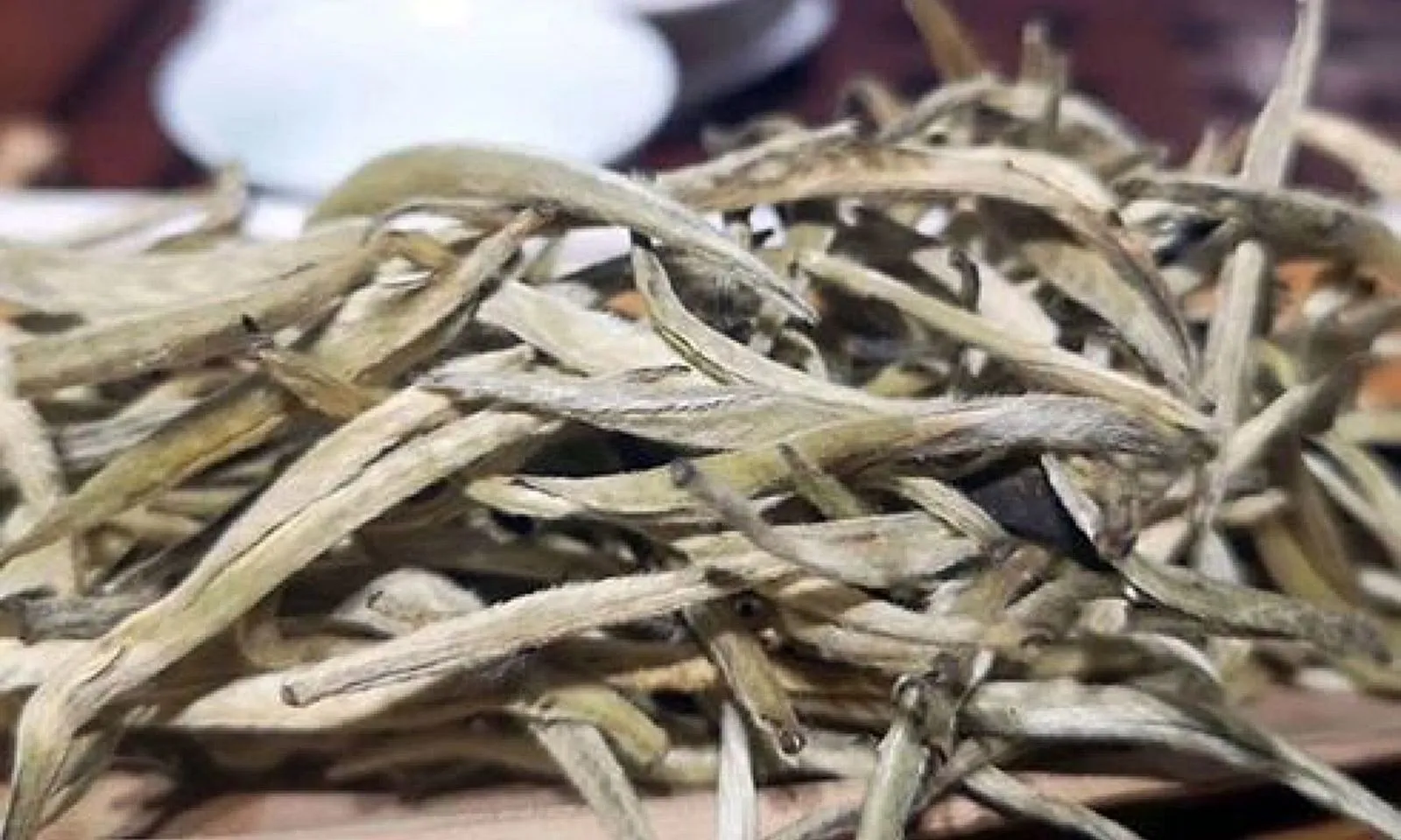 Chè Bạch Long – đặc sản hiếm tại Việt Nam, giá 680 triệu đồng/kg