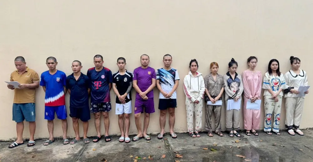 Khoi-To-To-Chuc-Su-D