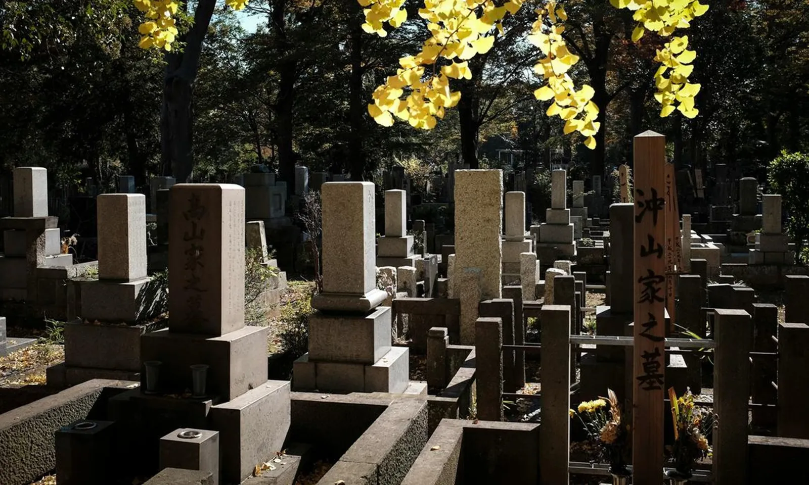 Du khách Úc gây phẫn nộ vì uống đồ cúng tại nghĩa trang Nhật Bản