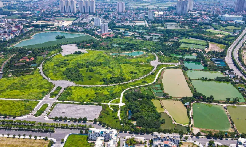 Thủ tướng yêu cầu nghiên cứu giải pháp giảm gánh nặng tài chính khi chuyển mục đích sử dụng đất