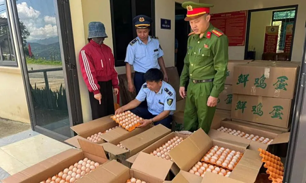 Phát hiện xe tải chở hơn 10.000 quả trứng gà không rõ nguồn gốc