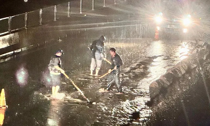 Sau xử lý sạt trượt, đã thông tuyến cao tốc Vĩnh Hảo - Phan Thiết