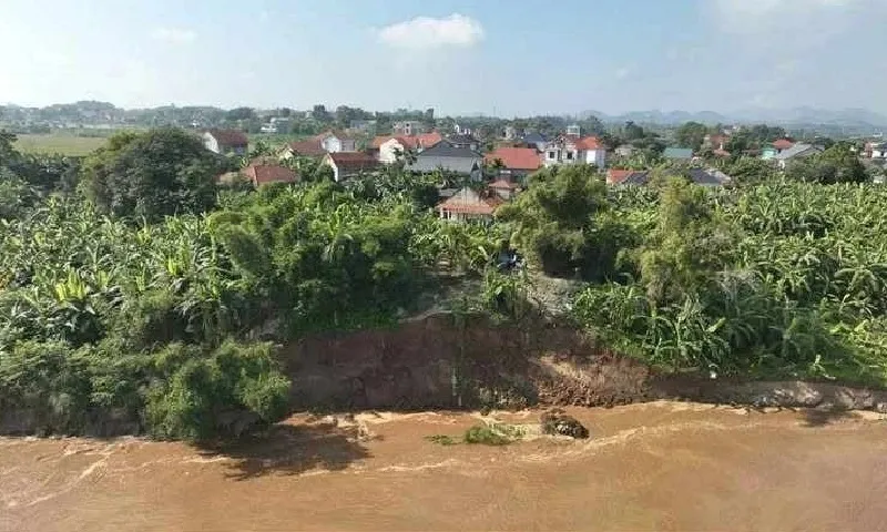 Phú Thọ bác tin đồn vỡ đê Hữu Thao, khẳng định chỉ xảy ra sạt lở bãi sông