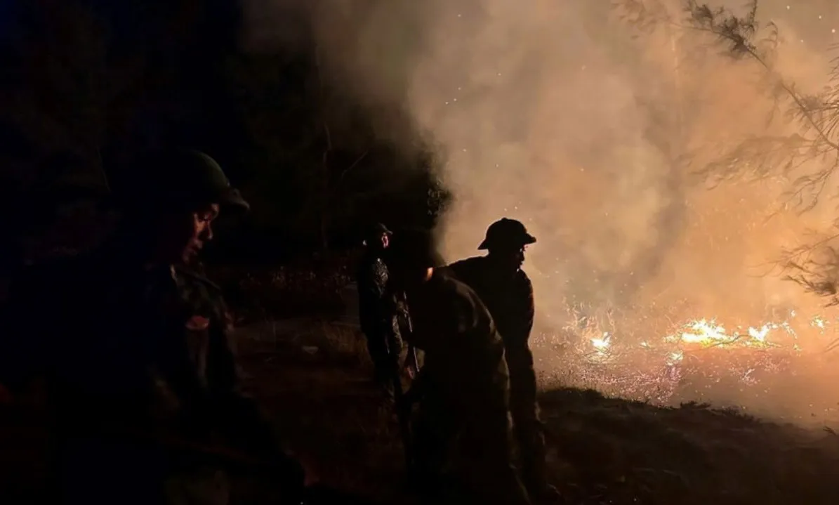 Huế: Cháy rừng, phát hiện thi thể một người đàn ông