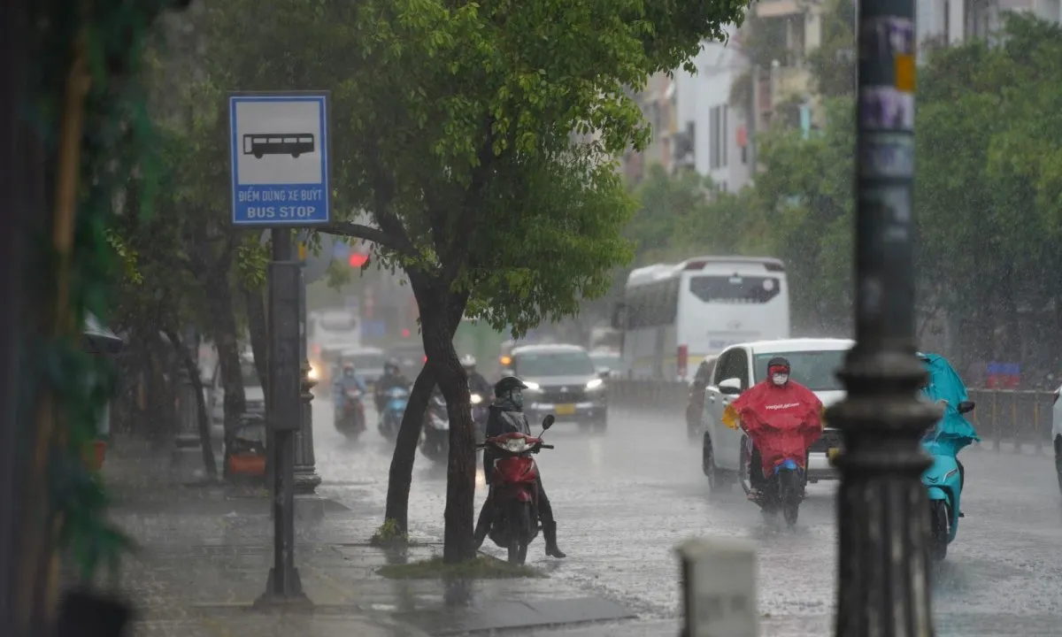 Thời tiết ngày khai giảng 5/9: Bắc Bộ nắng nóng, Nam Bộ mưa dông