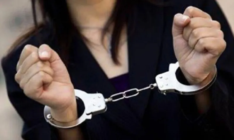 An Giang: Bắt người phụ nữ trà trộn vào trường tiểu học, cướp tài sản của 2 học sinh