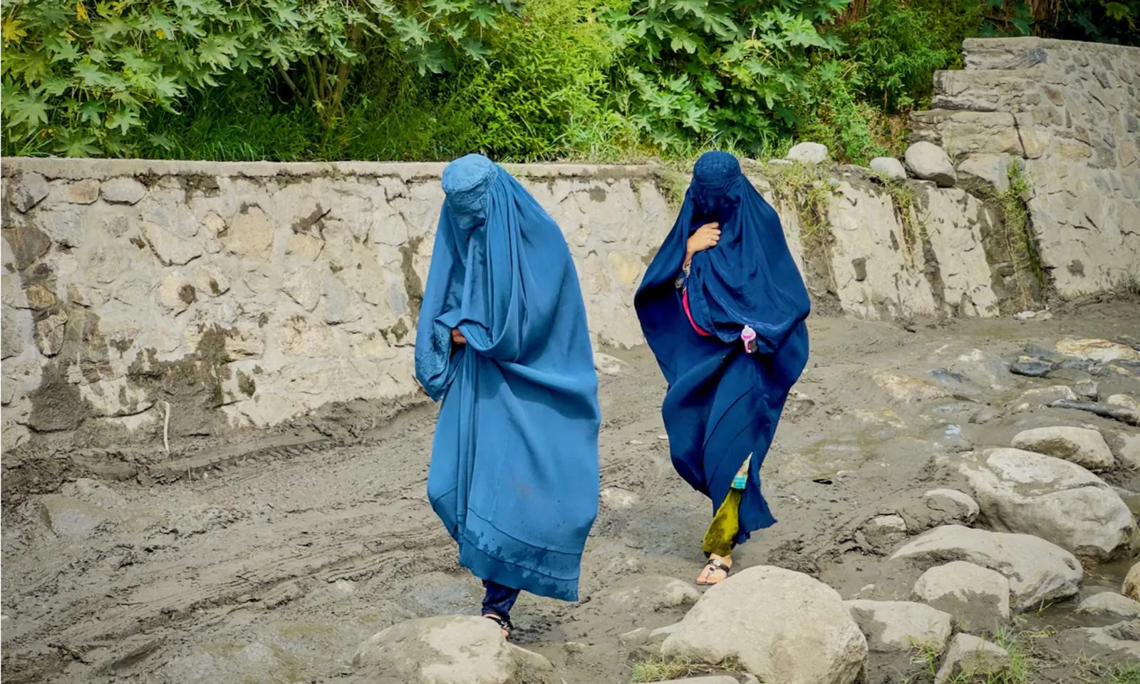 WHO yêu cầu Taliban dỡ bỏ các hạn chế đối với nhân viên cứu trợ nữ