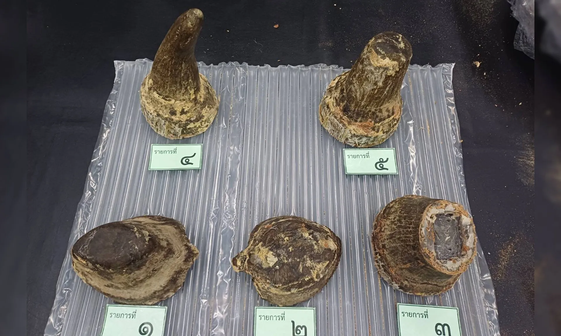 sung-te-giac-080925-1