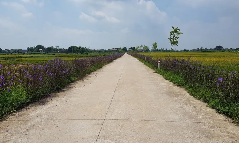 Sau 15 năm, diện mạo nông thôn Hà Nội thay da đổi thịt