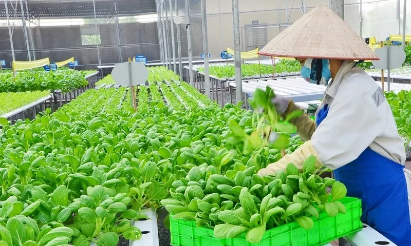 Ngành trồng trọt duy trì đà tăng trưởng