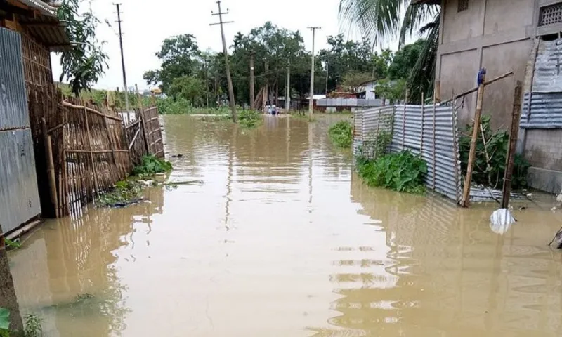 Ứng phó lũ - Ảnh V