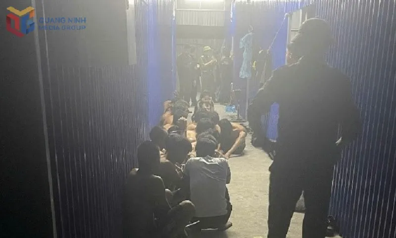 Quảng Ninh: Phát hiện đường dây “trả công bằng ma túy” cho công nhân  
