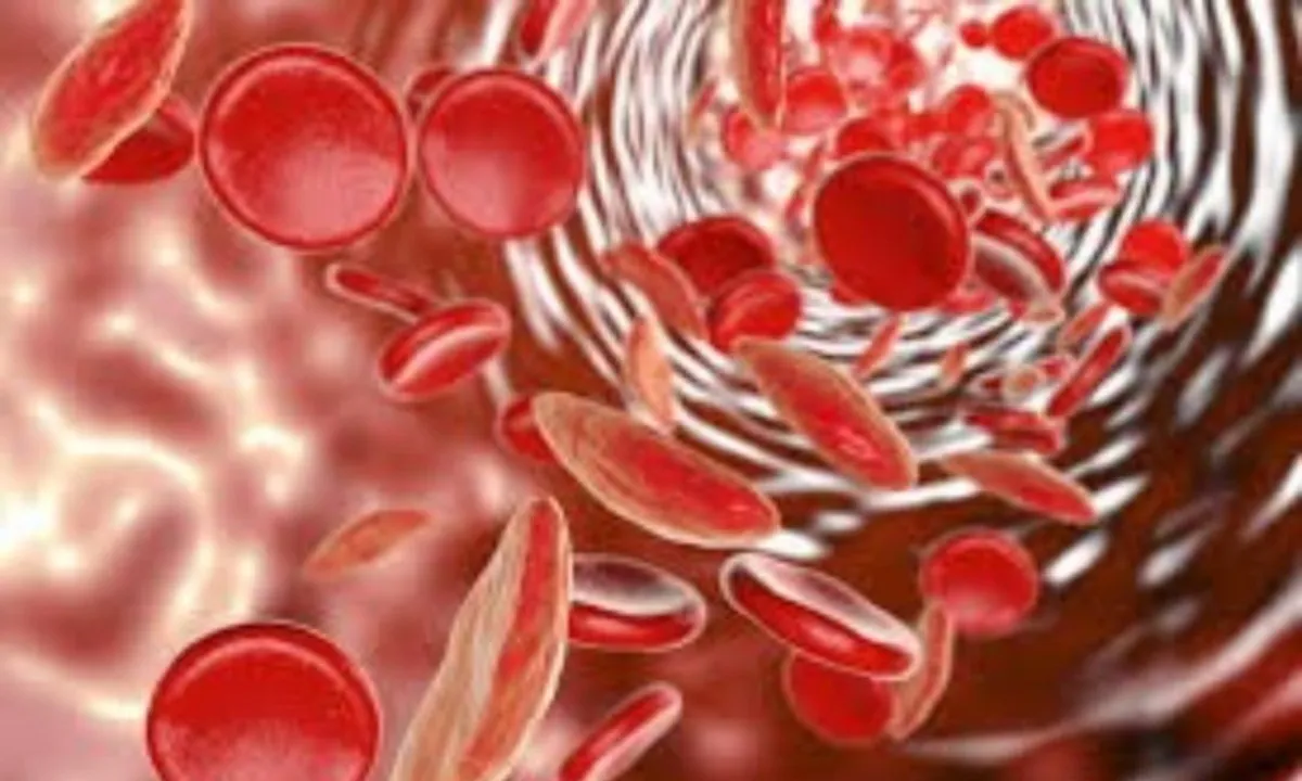 Vitamin B1 kết hợp glucose: “Chìa khóa” mới trong điều trị nhiễm trùng máu?