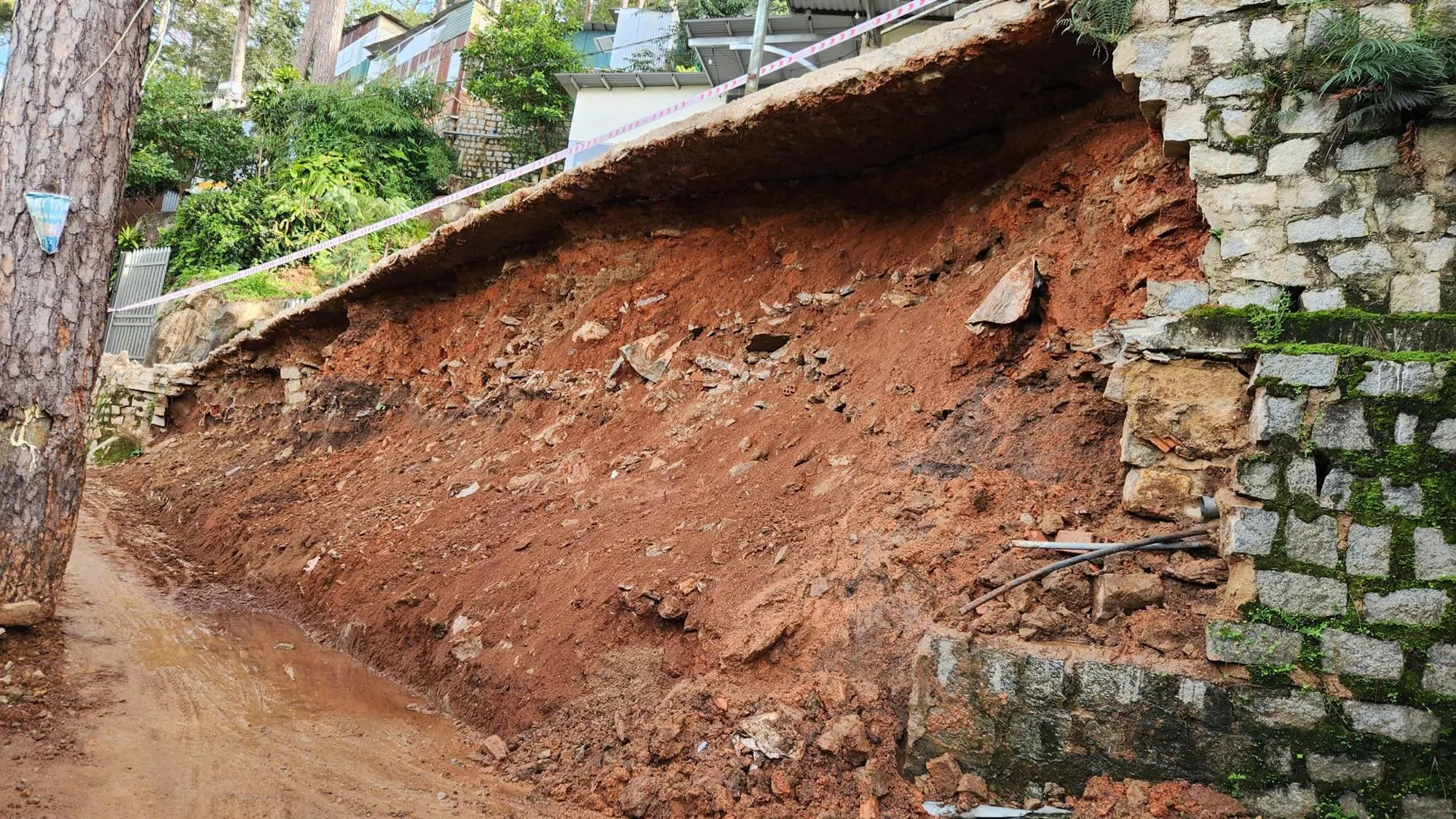 mua-lon-lam-dong-3-17576639156261582236093