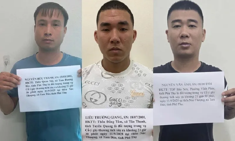 Phú Thọ: 3 thanh niên xông vào nhà hành hung 1 phụ nữ đến nhập viện