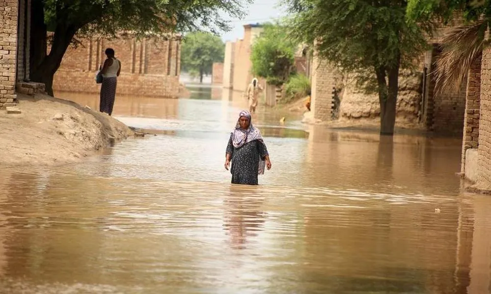 Lũ lụt ở Punjab, Pakistan khiến gần 100 người thiệt mạng