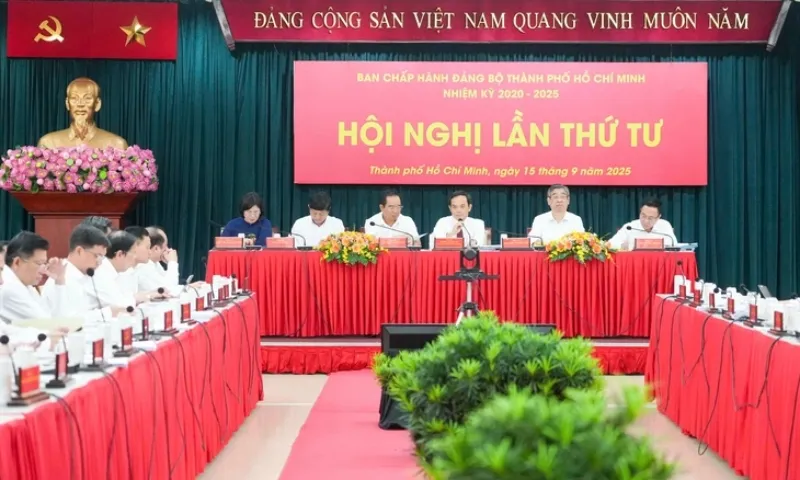 Tran Luu Quang