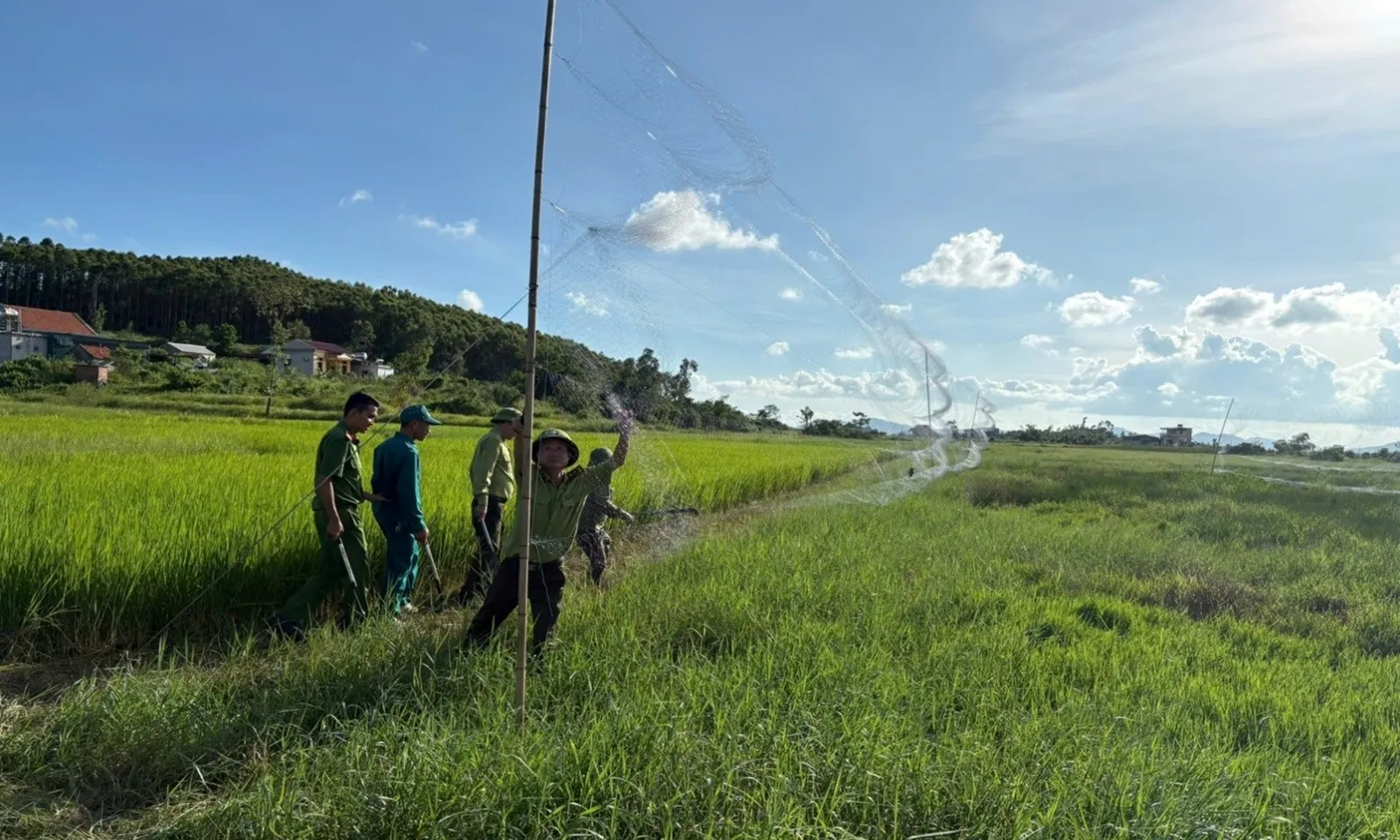 Ngăn chặn nhiều vụ giăng lưới săn bắt chim trời
