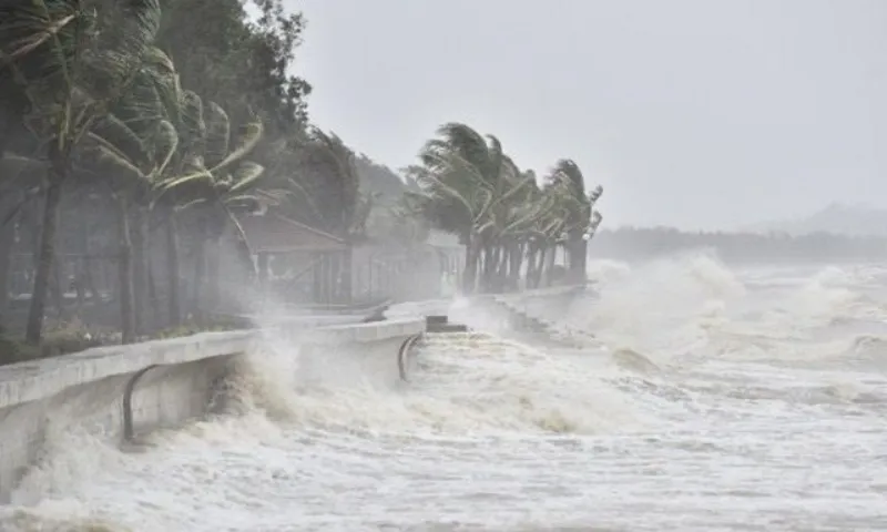 Vùng áp thấp trên Biển Đông có khả năng mạnh lên  