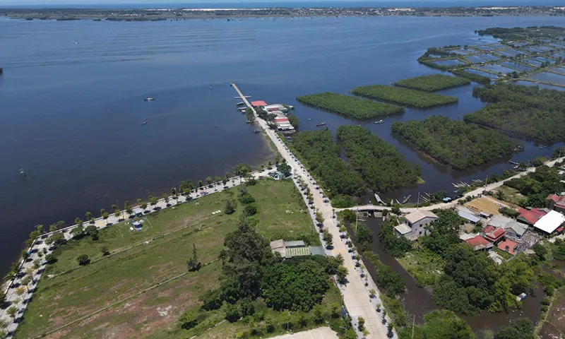 Xây dựng cầu vượt phá Tam GIang