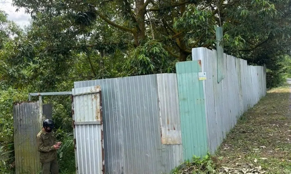 Xác minh thi thể phân hủy tìm thấy trong vườn sầu riêng ở Đồng Tháp