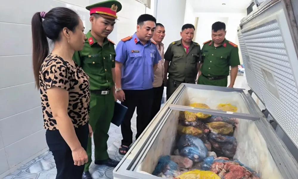 Khởi tố vụ bán 380 kg thịt heo nhiễm bệnh dịch