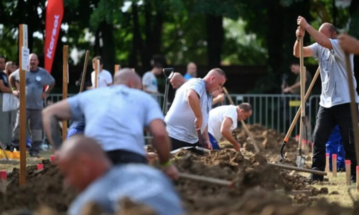 Giải vô địch đào mộ quốc tế tại Hungary