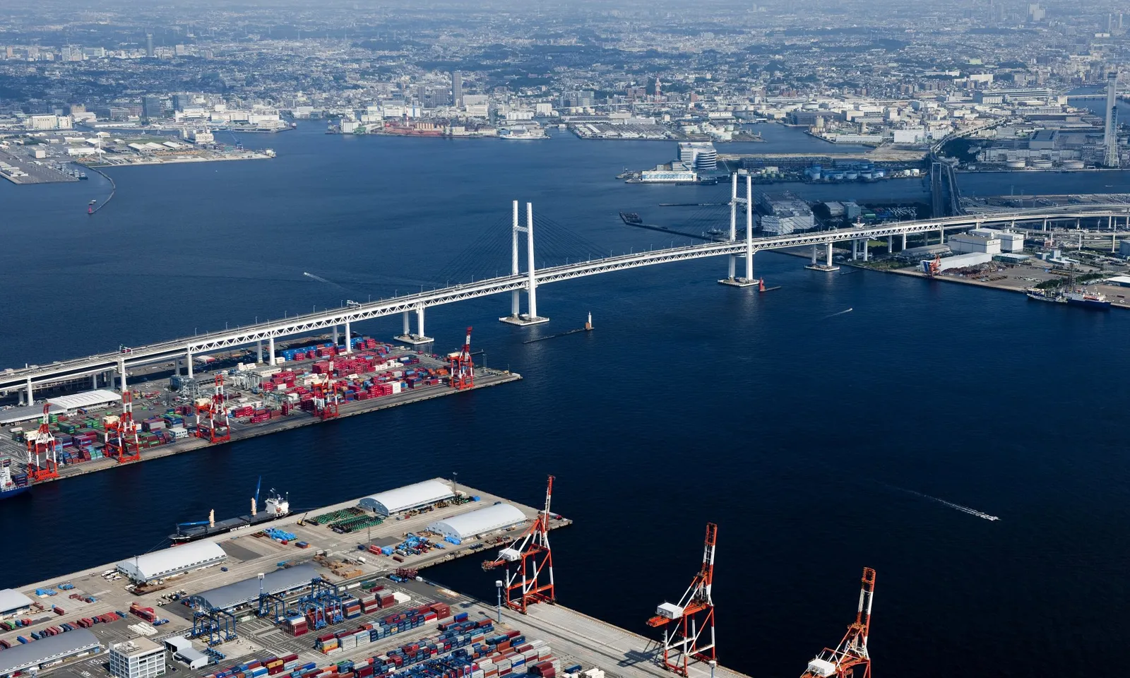 Nhật Bản đóng vai trò quan trọng trong khôi phục thương mại tự do toàn cầu?