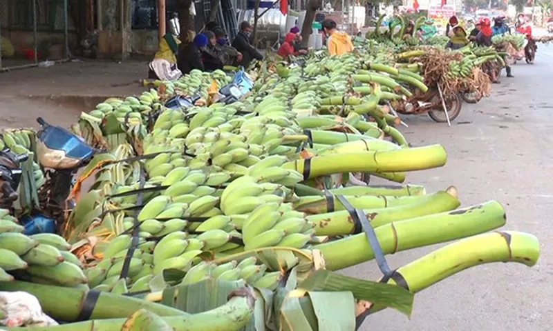 Hình ảnh chợ chuối Tân Long