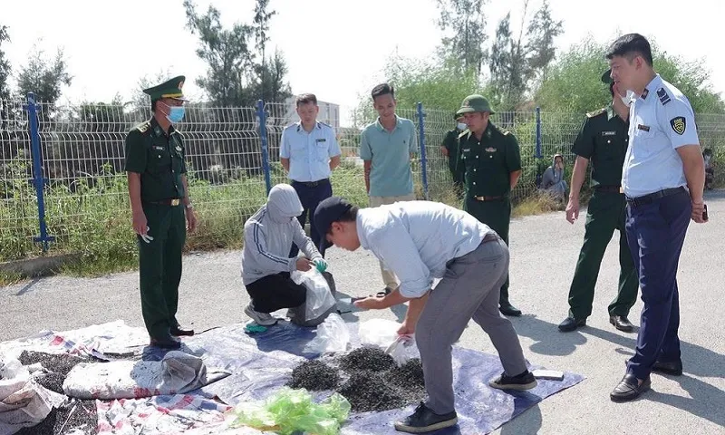 Hải Phòng: Bộ đội Biên phòng phát hiện gần 30 tấn phế liệu kim loại không rõ nguồn gốc